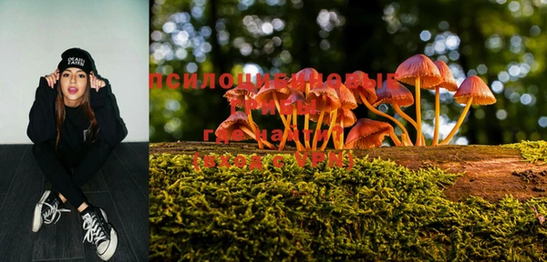кокс Бородино