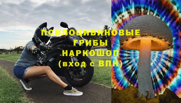 кокс Бородино