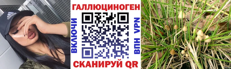 что такое наркотик  Злынка  kraken ссылки  Галлюциногенные грибы мухоморы 